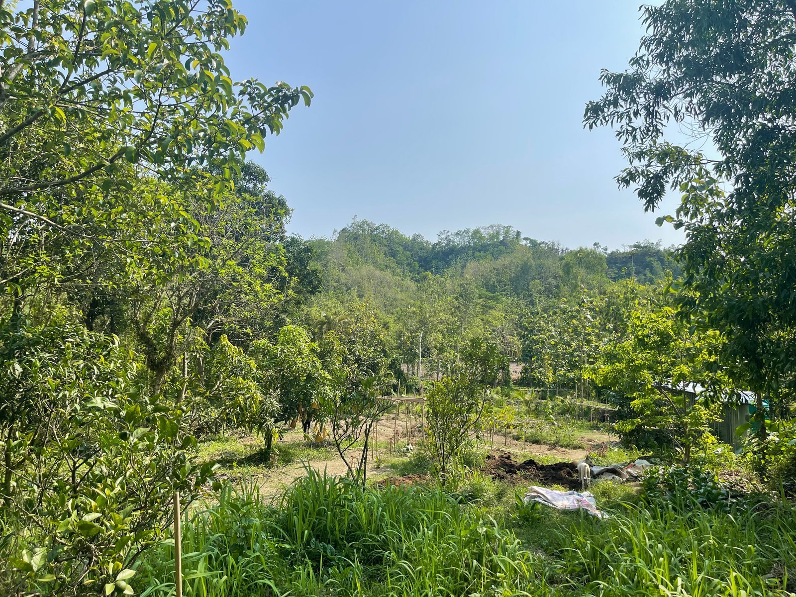 Nature trails on campus